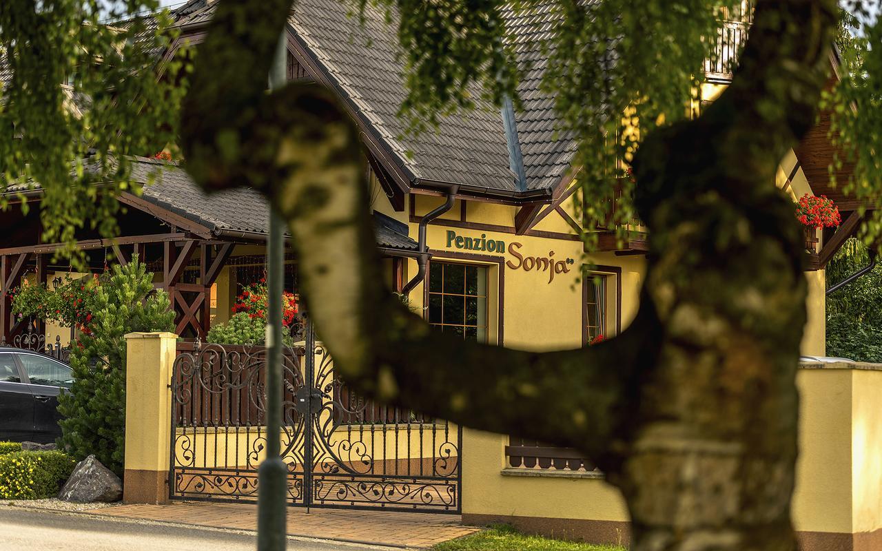 Penzion Sonja Vysné Ruzbachy Exterior foto