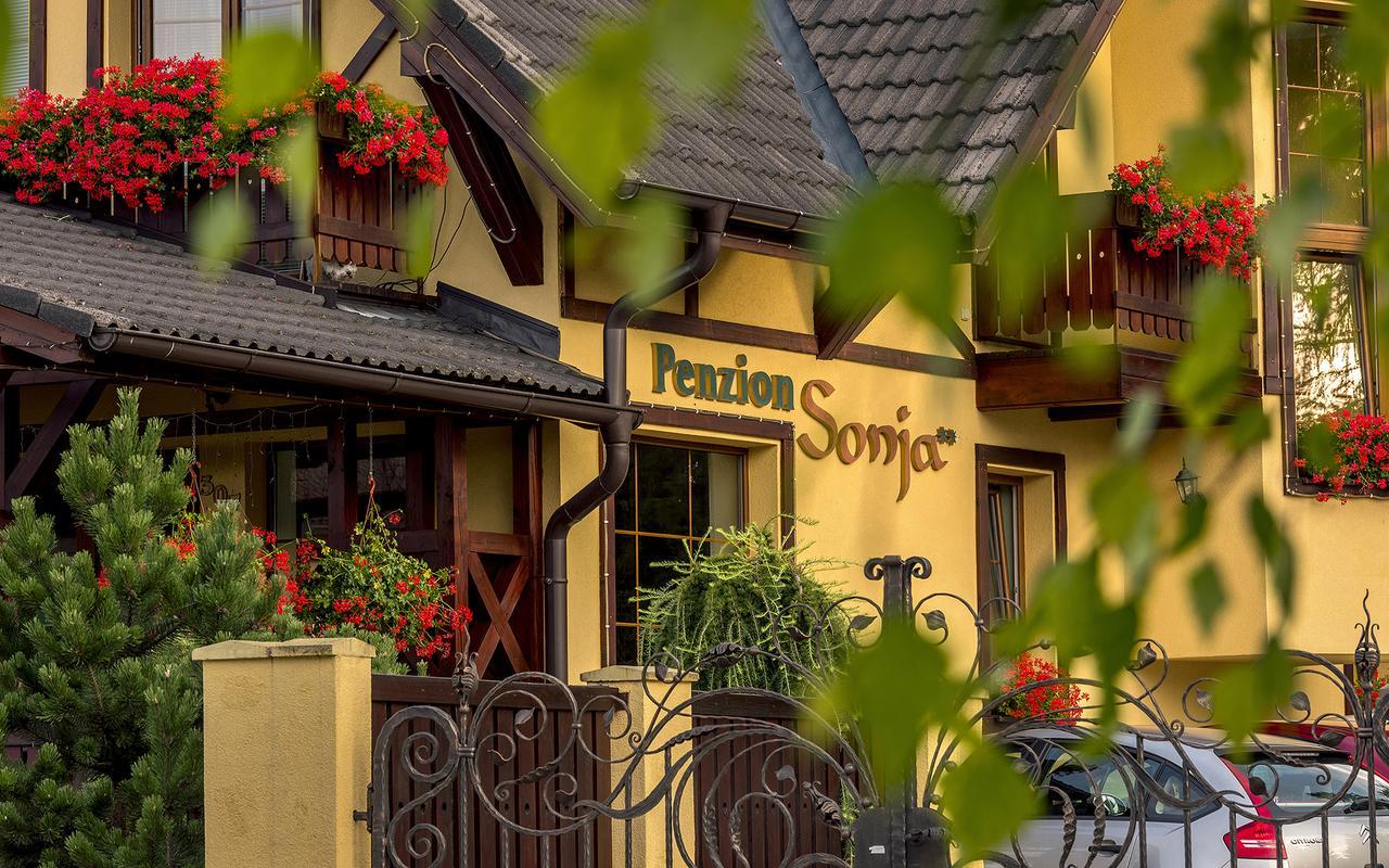 Penzion Sonja Vysné Ruzbachy Exterior foto
